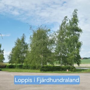 DAGSUTFLYKT I FJÄRDHUNDRA LAND lör 8 aug
